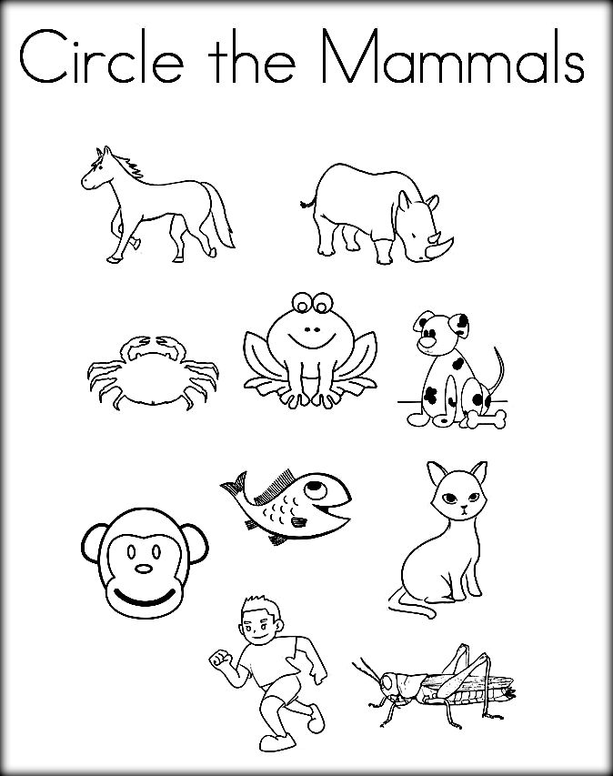 free-printable-pictures-of-mammals-free-printable-templates
