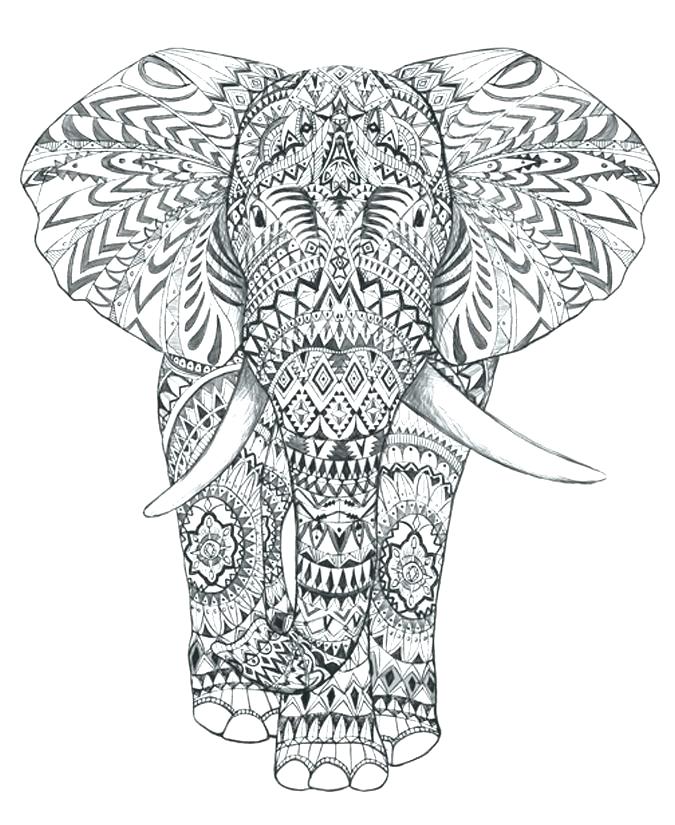 Mandala Elephant Coloring Pages at GetColoringscom Free