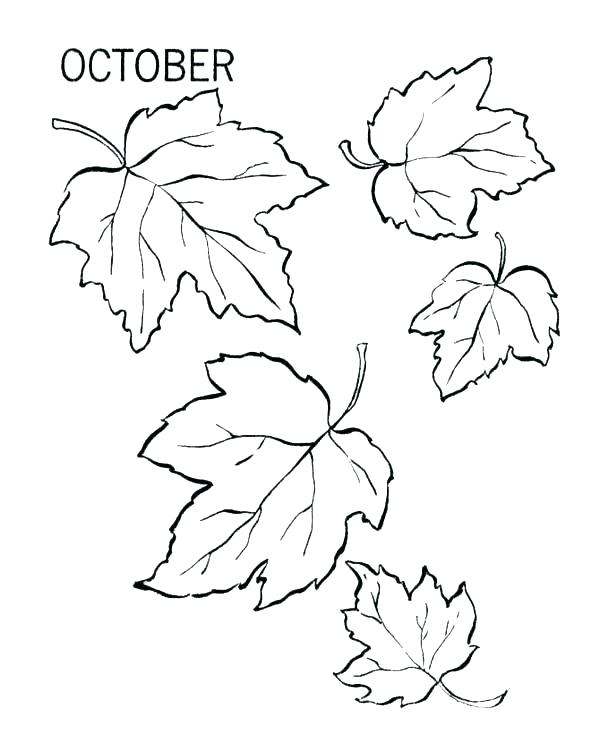 Maple Leaf Coloring Page at Free printable colorings