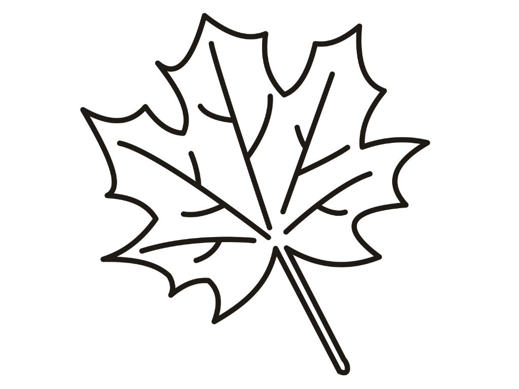 Maple Leaf Coloring Page at GetColorings.com | Free ...