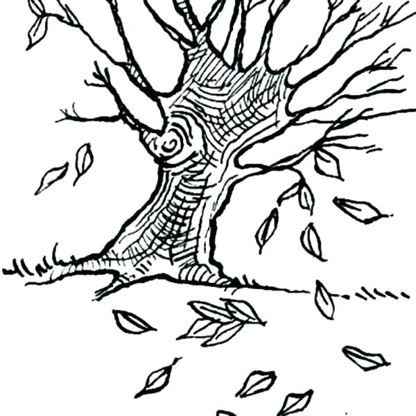 600x600 Fall Leaves Coloring Pages Tree Without Page