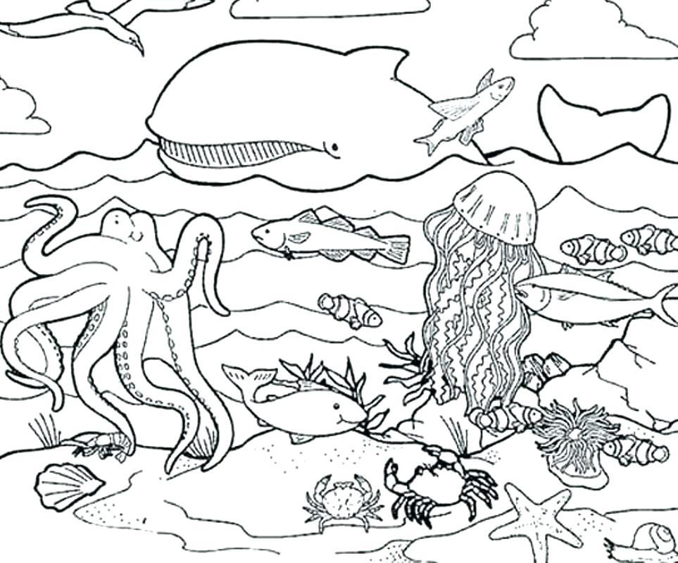 Marine Life Coloring Pages At Getcolorings Free Printable