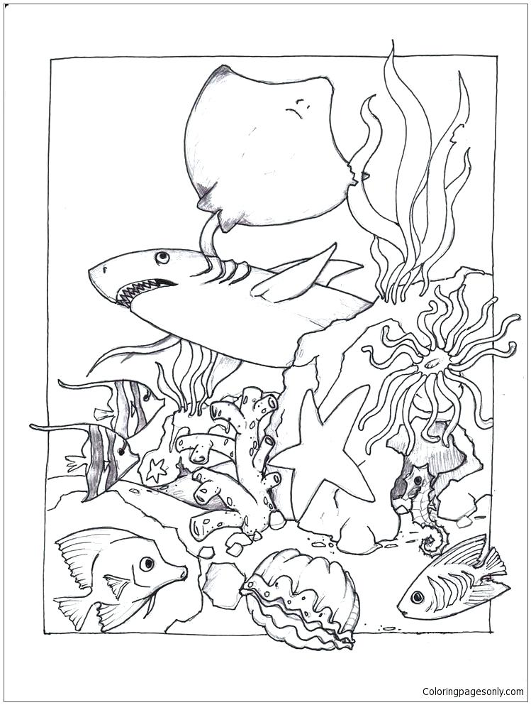 marine-life-coloring-pages-at-getcolorings-free-printable-colorings-pages-to-print-and-color