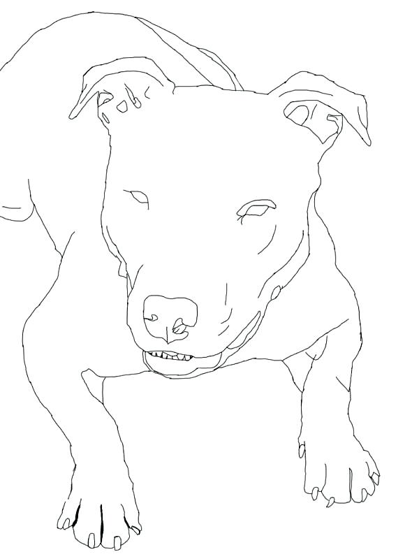 Mastiff Coloring Pages at GetColorings.com | Free printable colorings