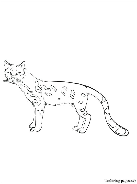 Minecraft Ocelot Coloring Pages at GetColorings.com | Free printable