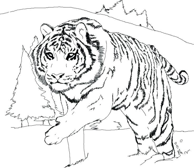 Minecraft Ocelot Coloring Pages at GetColorings.com | Free printable