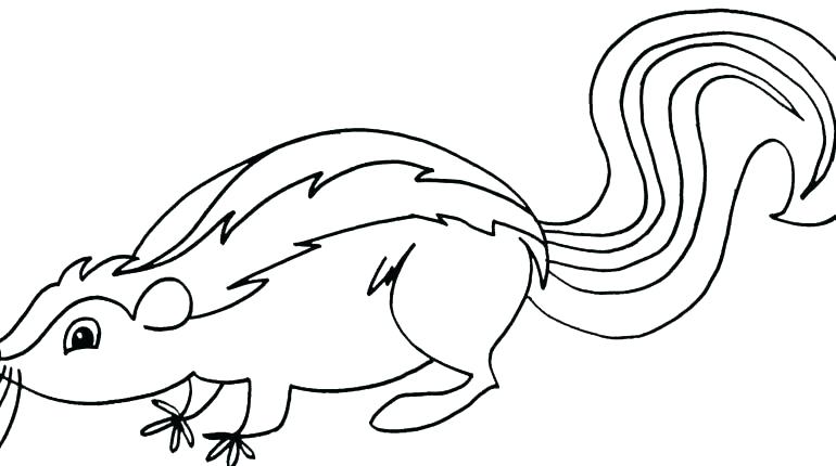 Mink Coloring Page At GetColorings Free Printable Colorings Pages 