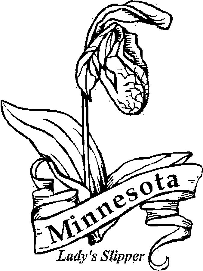 Minnesota Wild Coloring Pages at GetColorings.com | Free printable