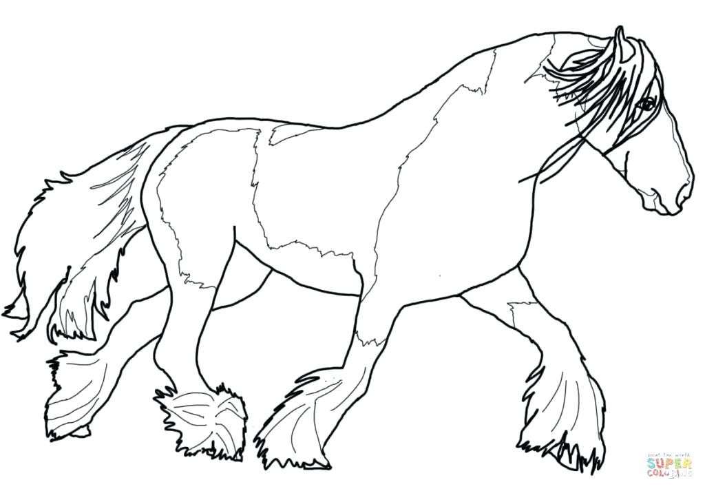 Morgan Horse Coloring Pages at GetColorings.com | Free ...