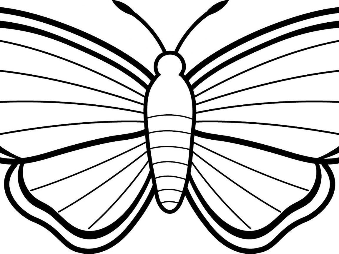 Moth Coloring Page at GetColorings.com | Free printable colorings pages