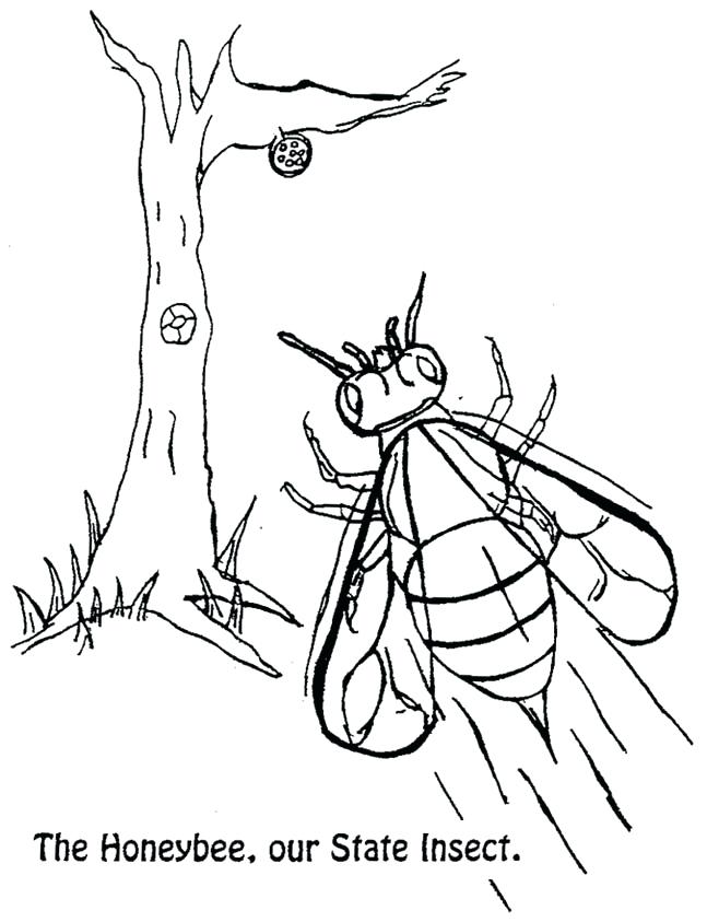 Mother Nature Coloring Pages at GetColorings.com | Free printable