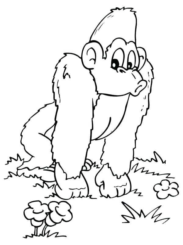 Mountain Gorilla Coloring Pages at GetColorings.com | Free printable