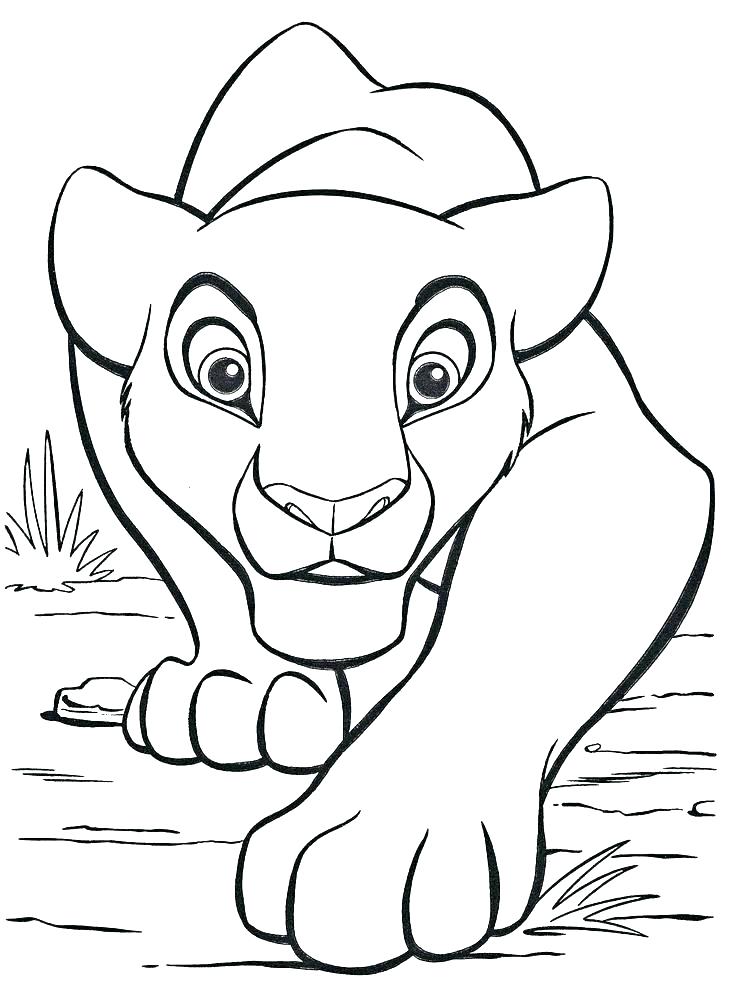Mountain Lion Coloring Pages at GetColorings.com | Free printable