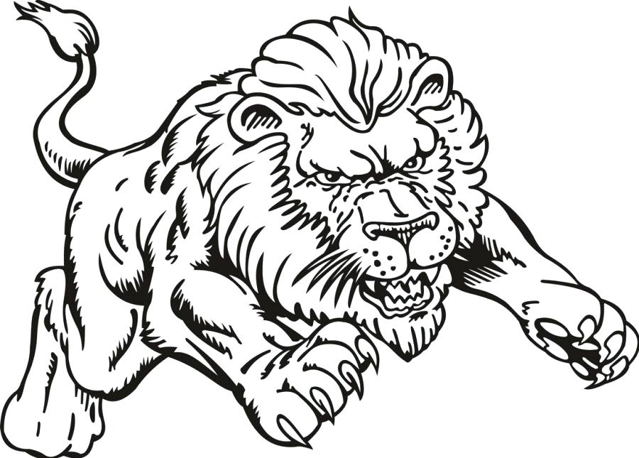 Mountain Lion Coloring Pages at GetColoringscom Free