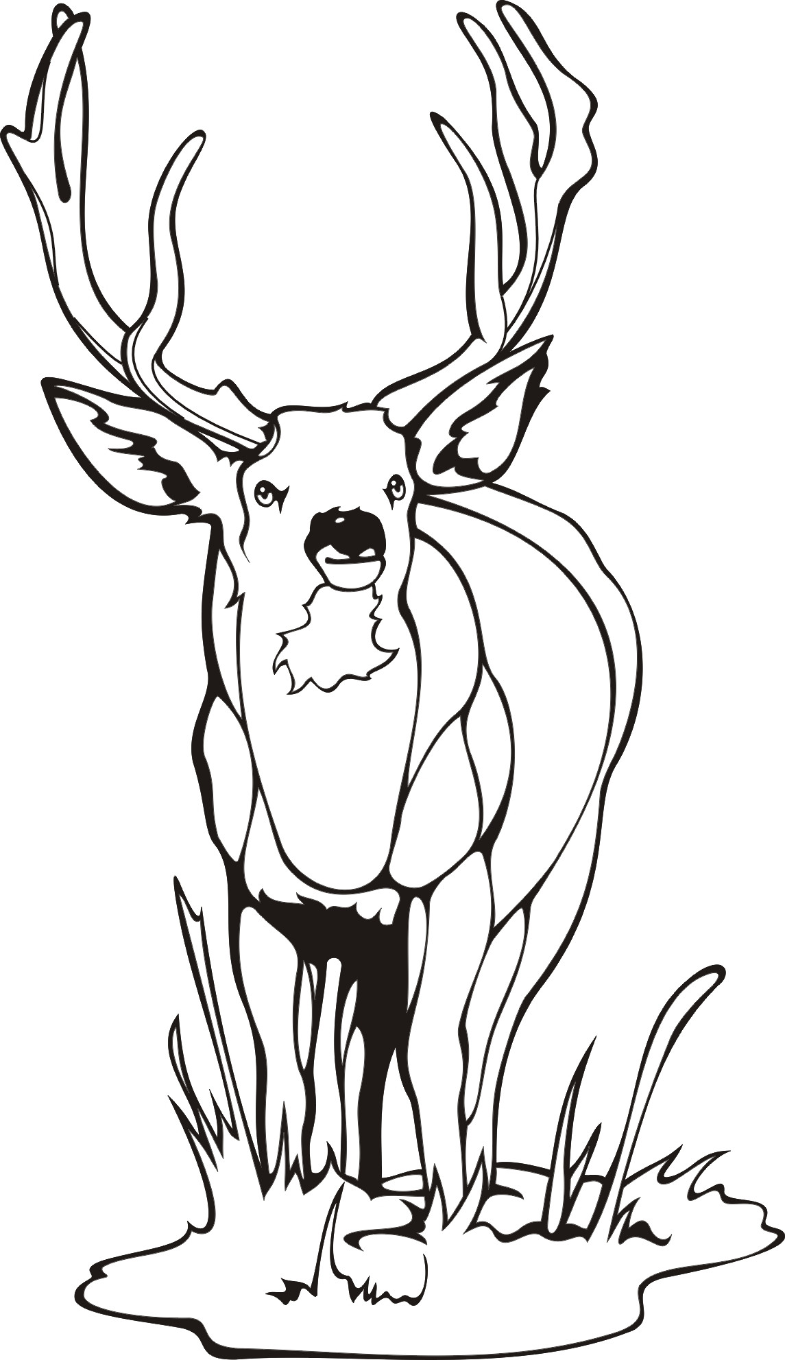 Mule Coloring Page at GetColorings.com | Free printable colorings pages