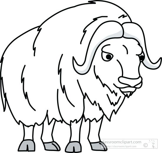Musk Ox Coloring Page at GetColorings.com | Free printable colorings