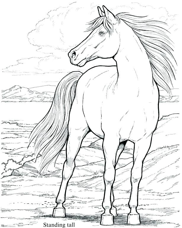 Mustang Horse Coloring Pages at GetColorings.com | Free printable