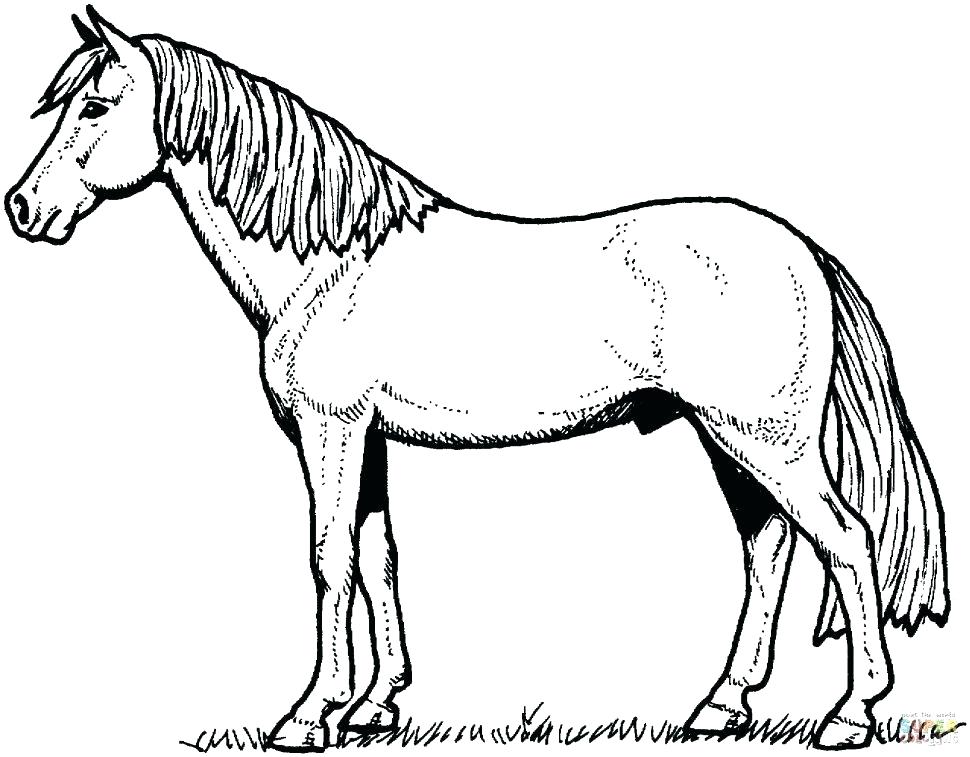 Mustang Horse Coloring Pages Printable At GetColorings Free 