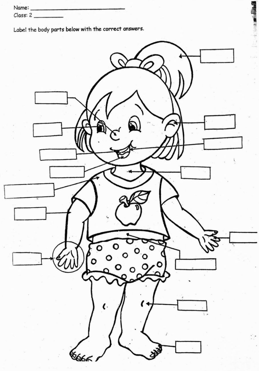 my-body-coloring-pages-at-getcolorings-free-printable-colorings