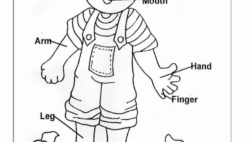 My Body Coloring Pages at GetColorings.com | Free printable colorings