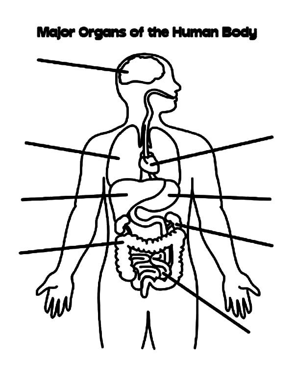 My Body Coloring Pages at GetColorings.com | Free printable colorings