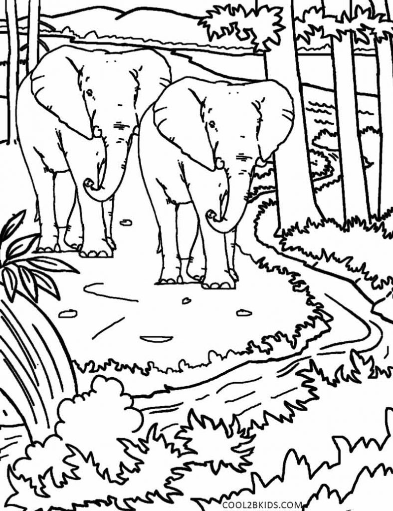 Nature Coloring Pages For Kids at GetColorings.com | Free printable ... Nature Coloring Pages For Kids at GetColorings.com | Free printable ...