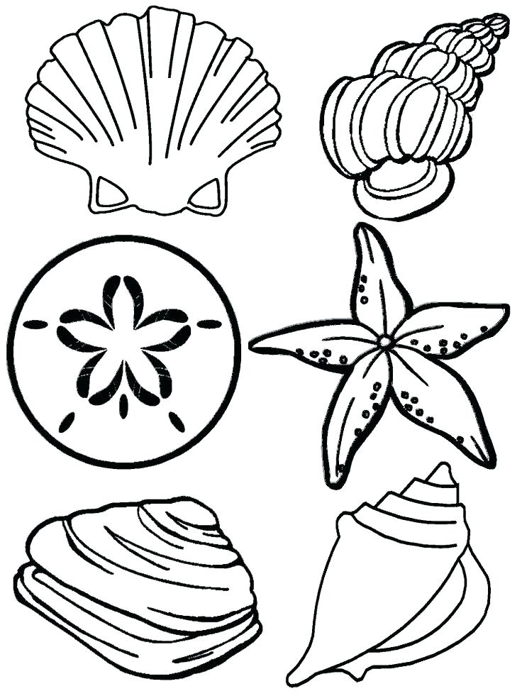 Nautical Star Coloring Pages at GetColorings.com | Free ...
