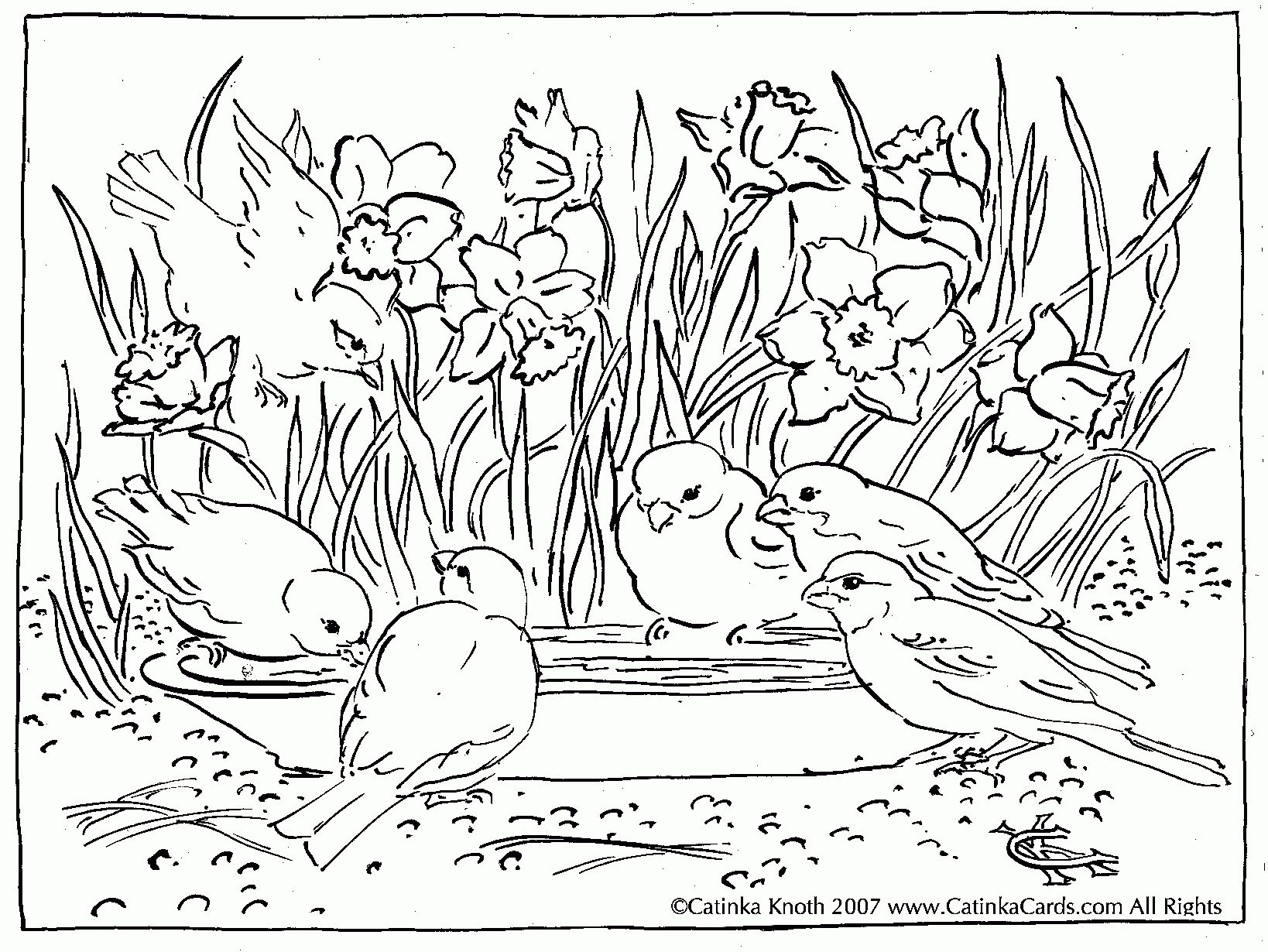 Nevada Coloring Page At Getcolorings Free Printable Colorings