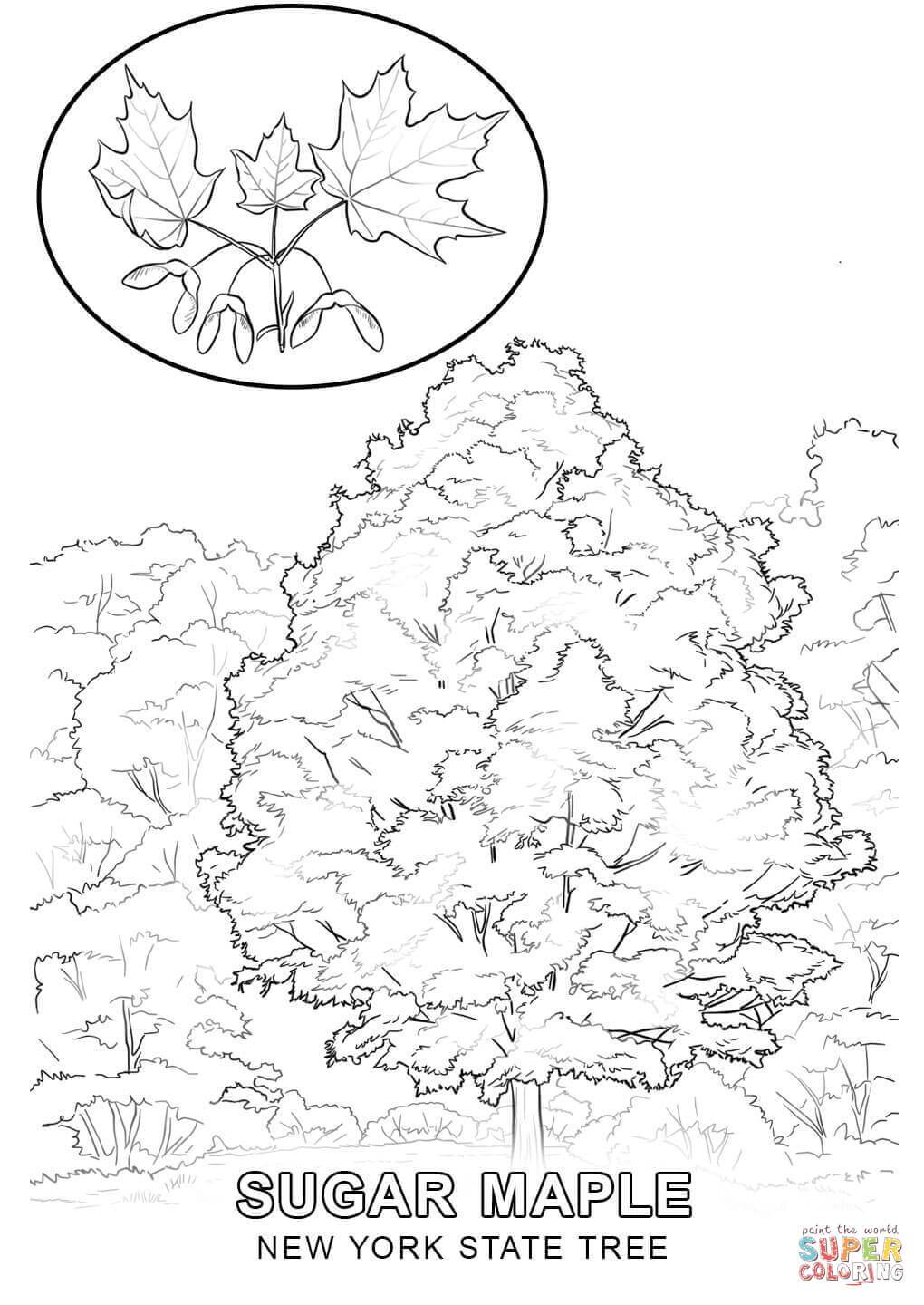 New York State Coloring Page at GetColorings.com | Free printable