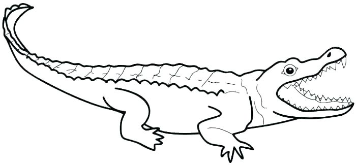 nile-crocodile-coloring-page-at-getcolorings-free-printable