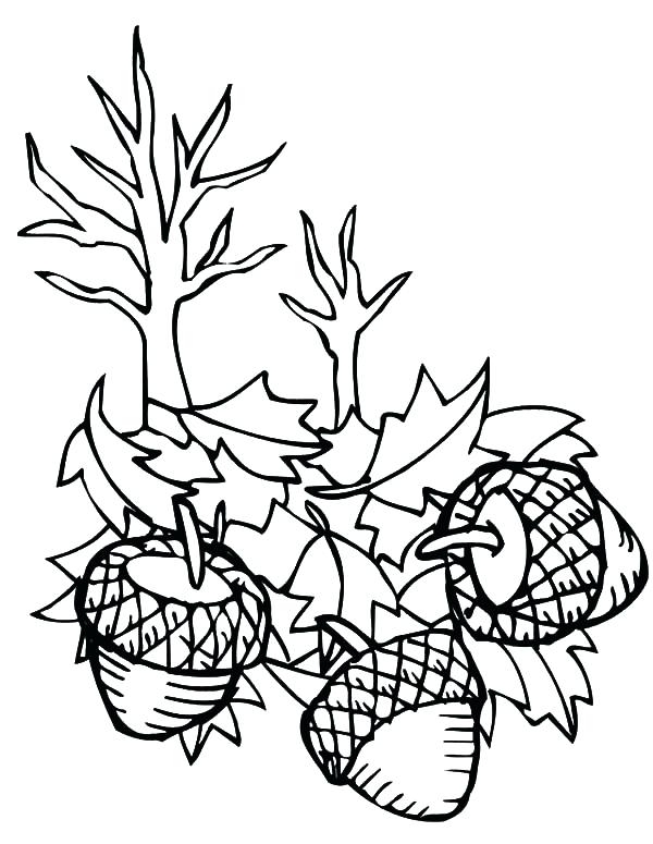 Oak Leaf Coloring Page at GetColorings.com | Free printable colorings