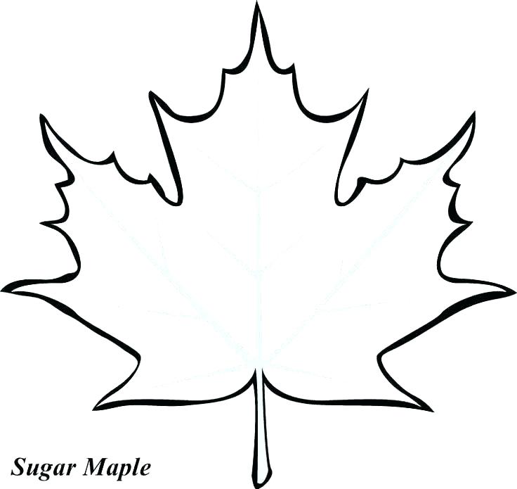 Oak Leaf Coloring Page at GetColorings.com | Free printable colorings