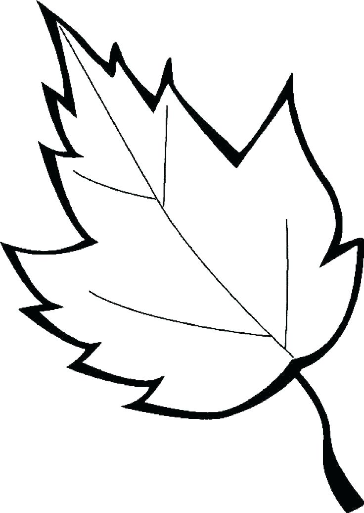 Oak Leaves Coloring Pages At GetColorings Free Printable 