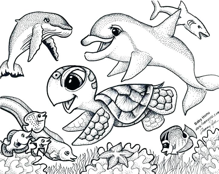 ocean-animals-coloring-pages-at-getcolorings-free-printable