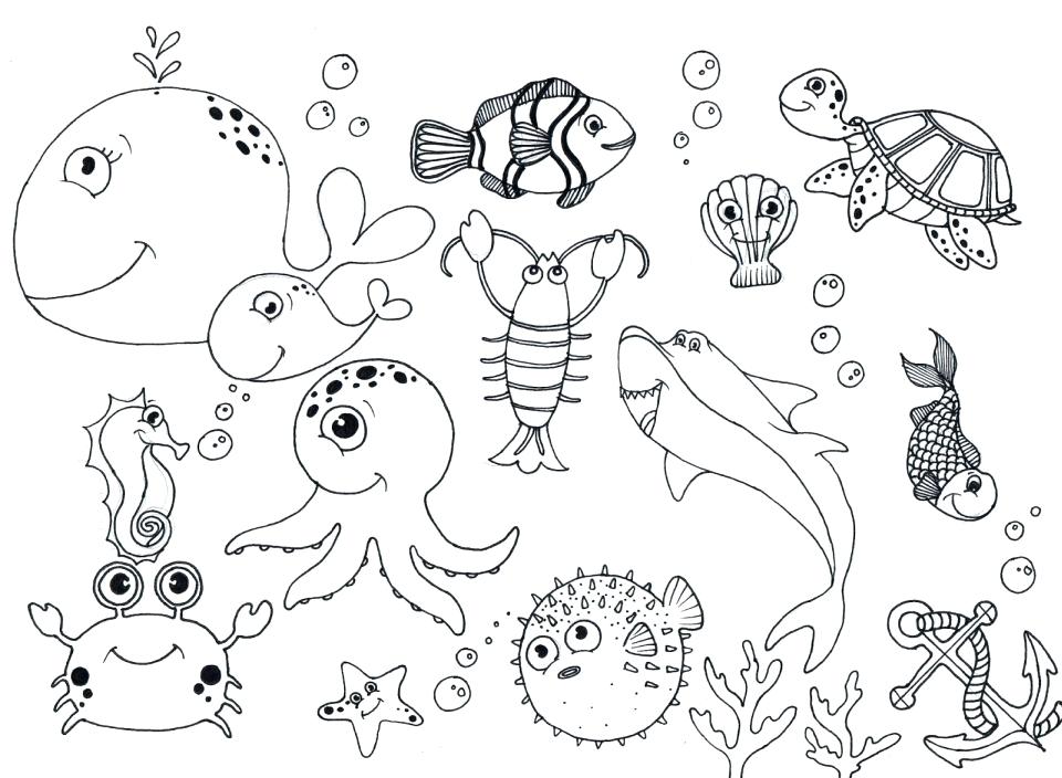 Ocean Animals Coloring Pages For Preschool at GetColorings ...