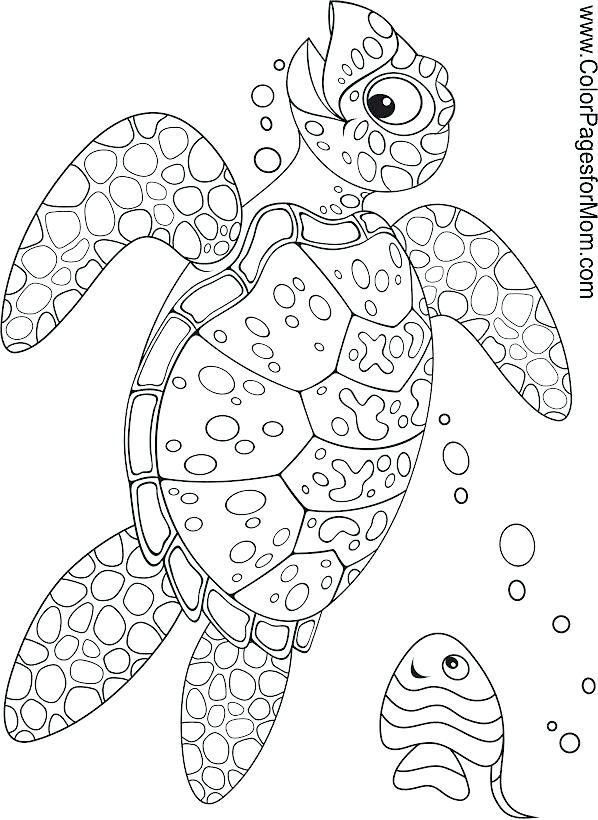 ocean-animals-printable-coloring-pages-for-kids-4