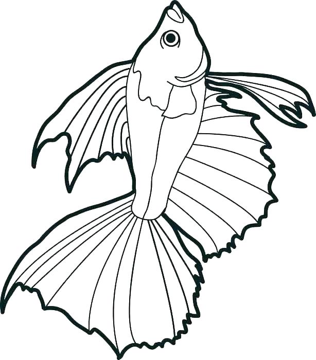 Ocean Fish Coloring Pages at GetColorings.com | Free printable