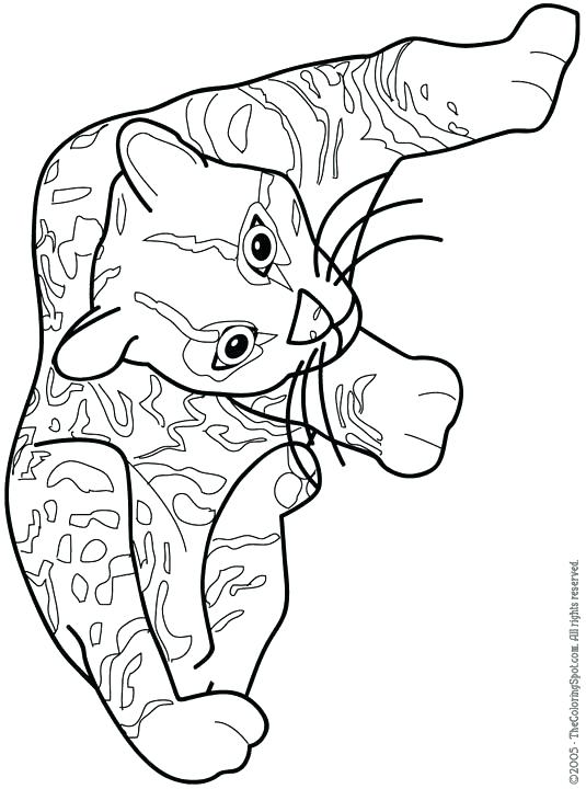 Ocelot Coloring Page at GetColorings.com | Free printable colorings