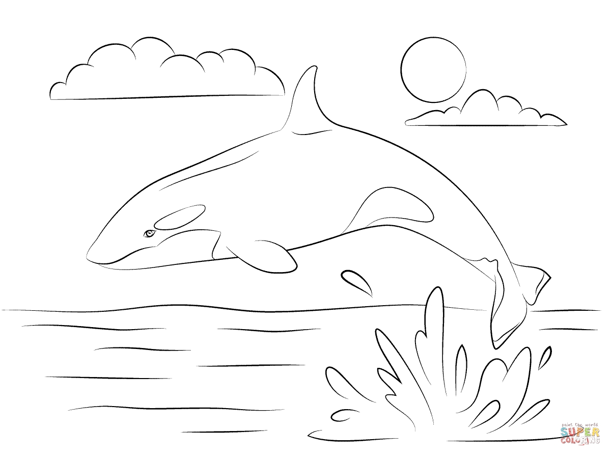 Orca Coloring Pages at Free printable colorings