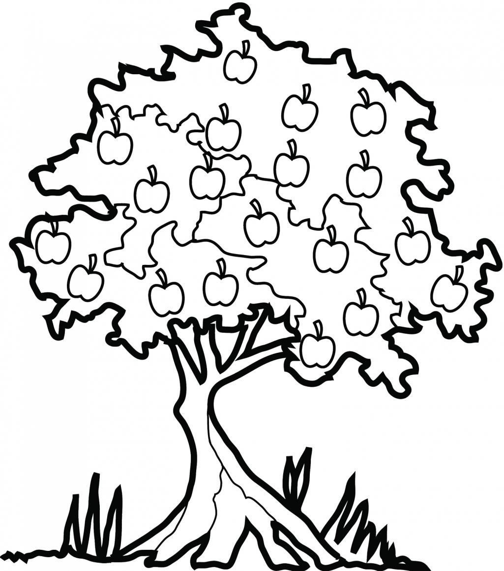 Orchard Coloring Pages at GetColorings.com | Free printable colorings