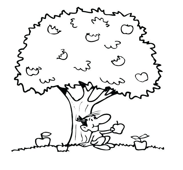 Orchard Coloring Pages at GetColorings.com | Free printable colorings