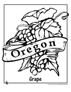 Oregon Coloring Pages At Getcolorings Free Printable Colorings