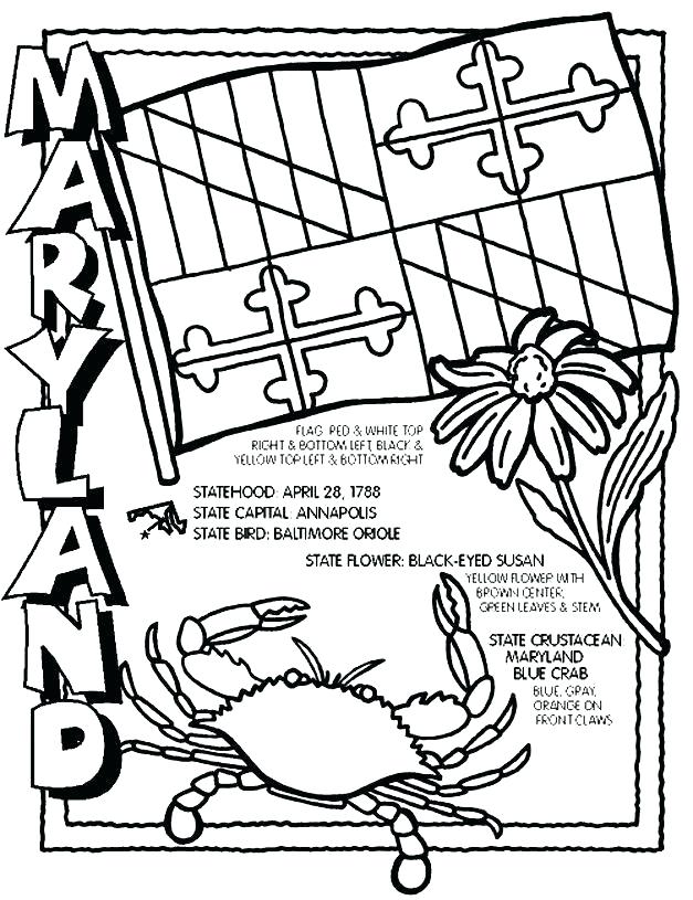 Oriole Coloring Pages At GetColorings