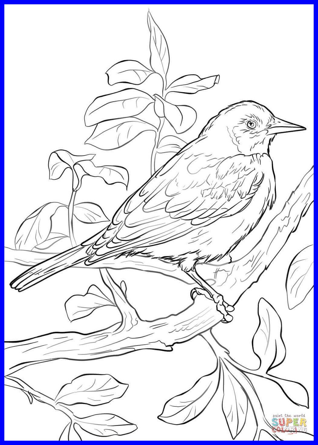 1048x1468 Appealing Baltimore Oriole Coloring Page Printable Pict Of