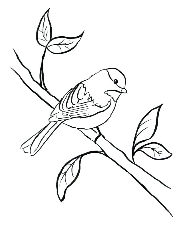 Orioles Coloring Pages at GetColorings.com | Free printable colorings