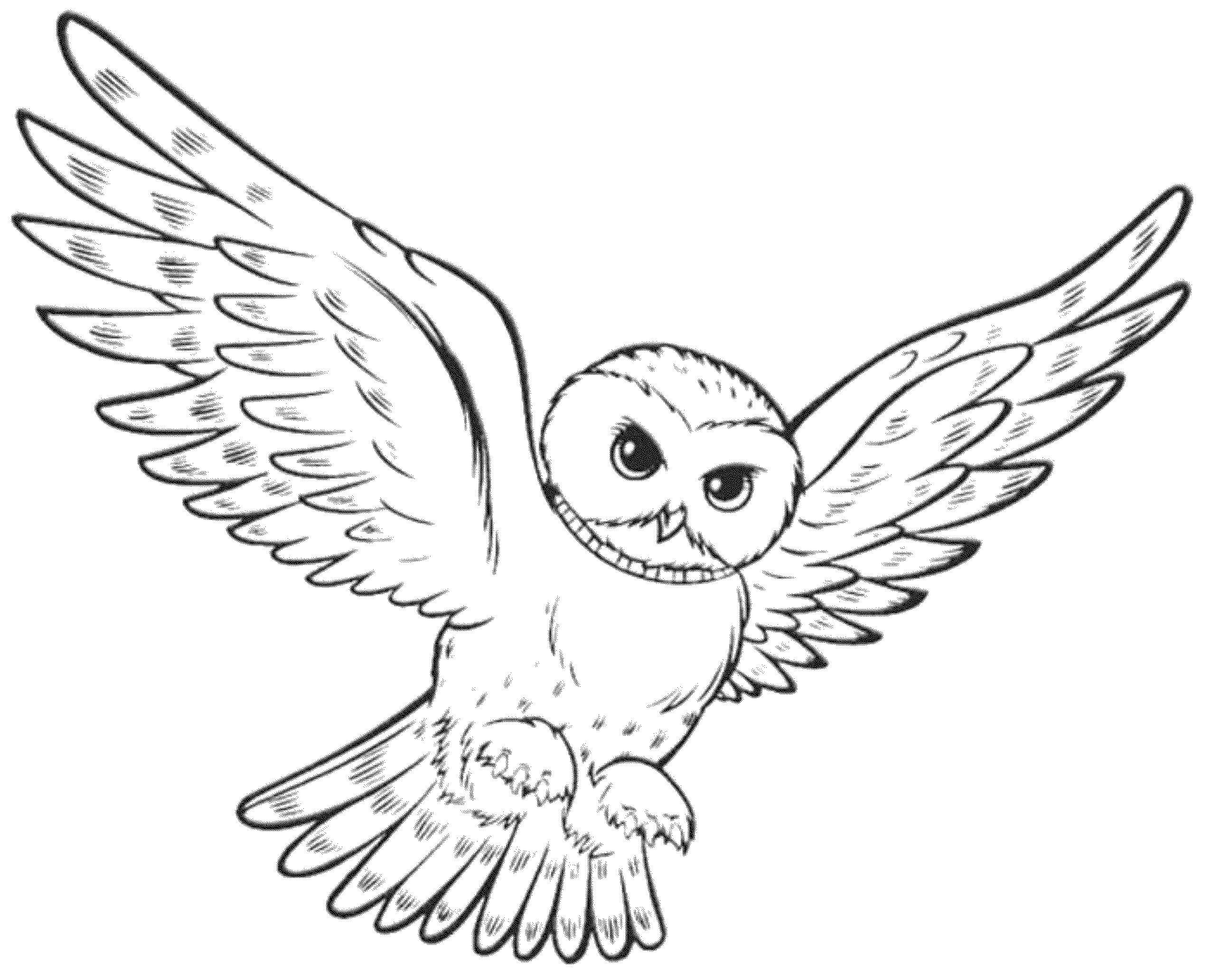 Owl Coloring Pages at Free printable colorings pages