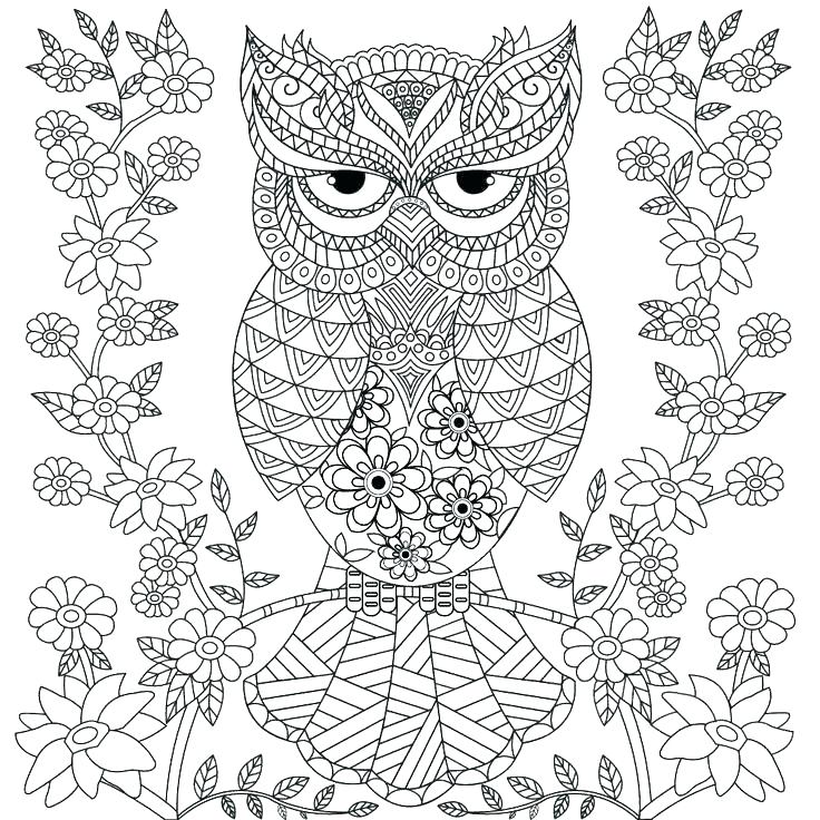 Owl Mandala Coloring Pages at GetColorings.com | Free printable