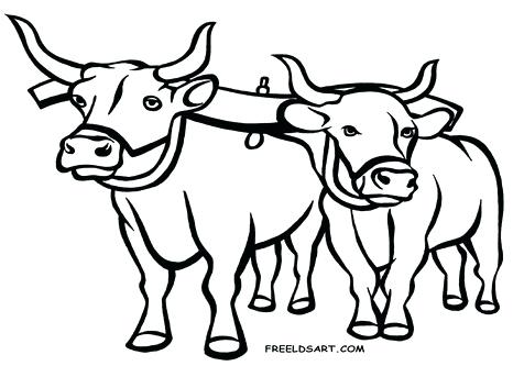 Ox Coloring Page at GetColorings.com | Free printable colorings pages