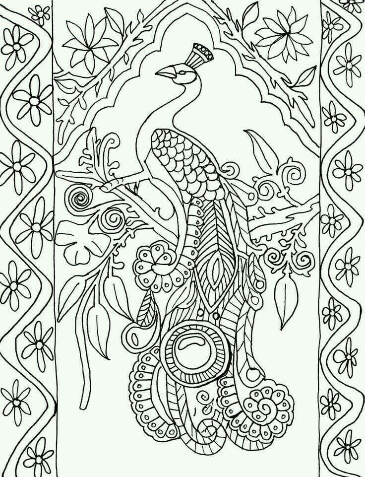 736x961 Peacock Coloring Pages Pinterest