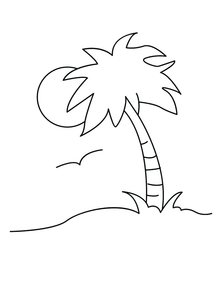 Palm Tree Coloring Pages at GetColorings.com | Free printable colorings